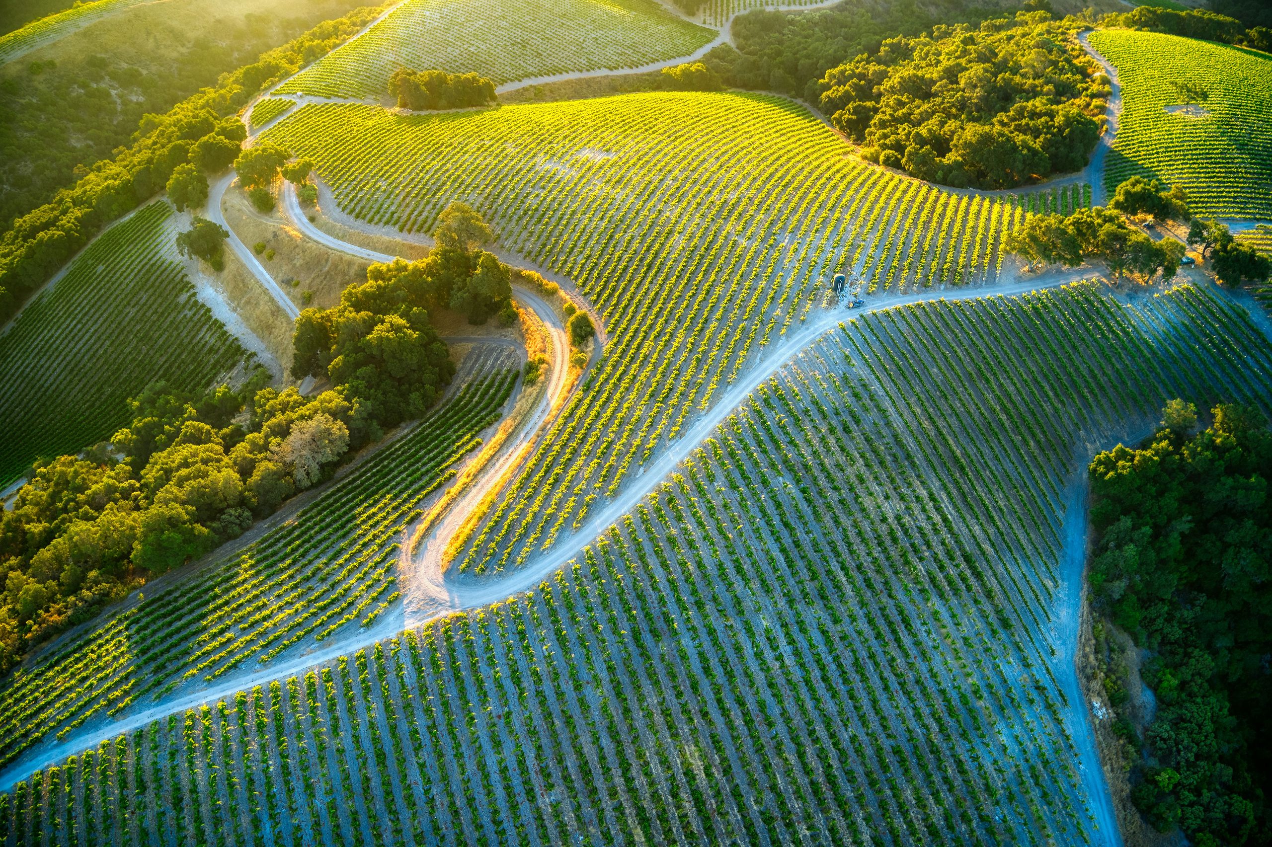 Paso Robles: A Central Coast Gem