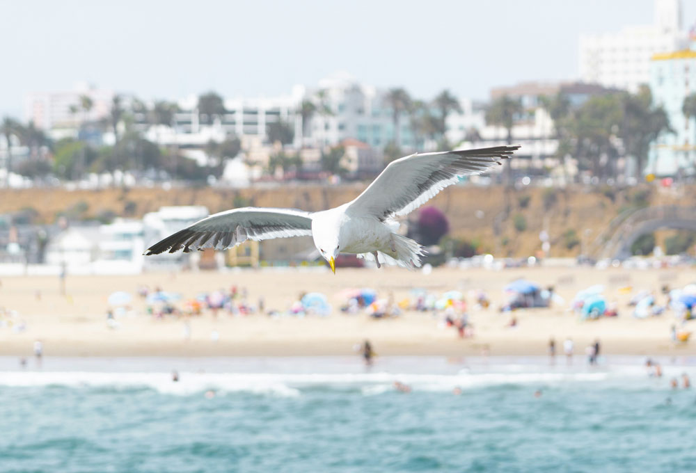 Santa Monica Pier, Santa Monica Pier, Santa Monica, CA, USA